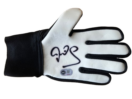 Peter schmeichel hand - schmeichel,