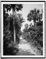 Bicycle path,ostrich farm,Palm