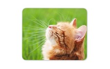 Fluffy Ginger Cat Mouse Mat Pad - Kitten Cute Pet Animal Computer Gift #14867