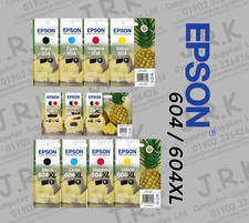 Epson 604 604XL Pineapple Ink