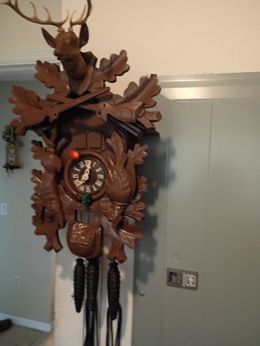 Large hunter musical cuckoo - large,