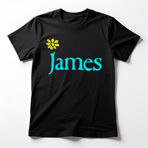 James shirt 1 - james, t-shirt_1
