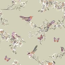 Clarke and Clarke Beautiful Birds Sage Green 100% Cotton Fabric 