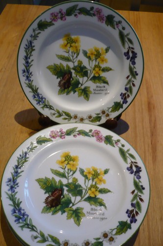 Royal worcester herbs - herbs, 6