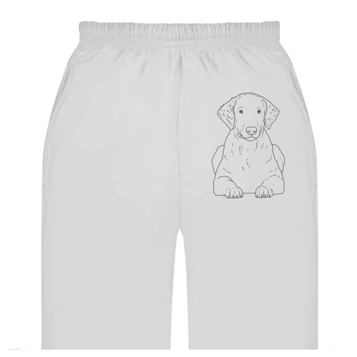 Curly coated retriever adult - 'curly,