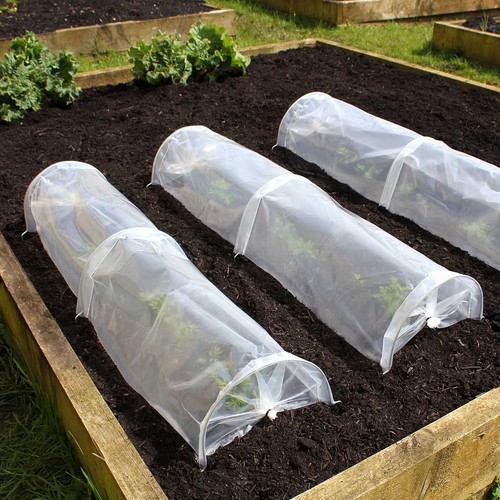 Haxnicks easy seedling tunnel - haxnicks,