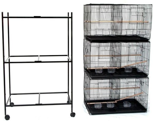 Seny set breeding bird - seny, of