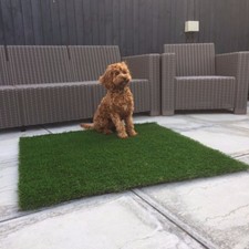 Luxury artificial grass - luxury,