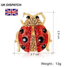 Colourful Red  Ladybird