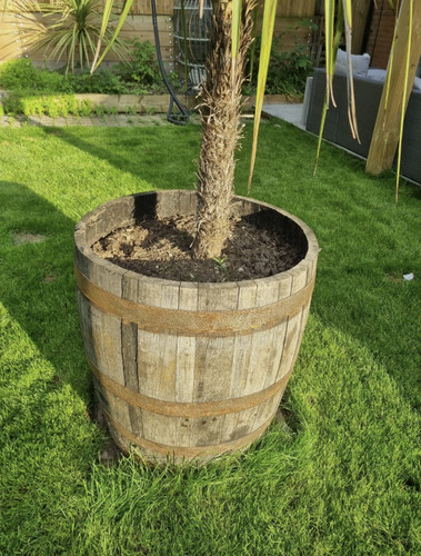 Large tall deep whisky - large,