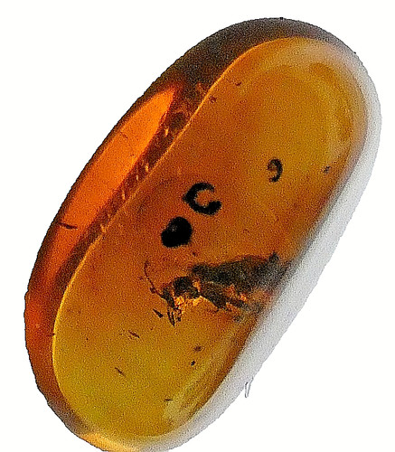 Genuine baltic amber with rare - amber,