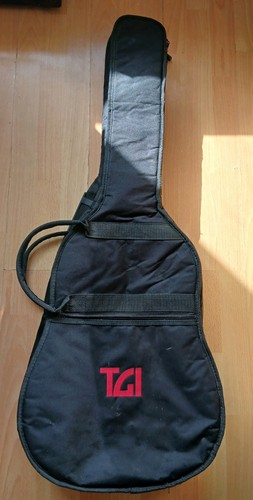 Tgi padded gig - padded, bag