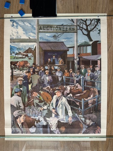 Macmillan school poster 18 - poster,