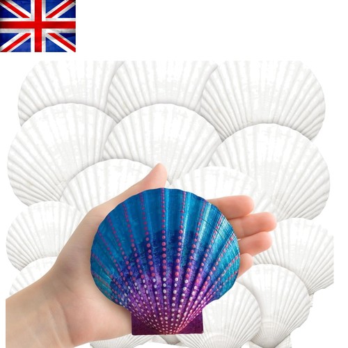 Large 18pcs white - 18pcs,