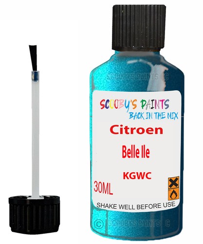 Paint for citroen berlingo van - paint,