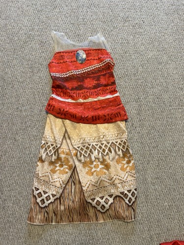 Fancy dress costume - costume, skirt
