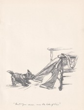 1936 SCOTTISH TERRIER DOG Print - Antique - Vernon Stokes - 11 x 8.4 Inches