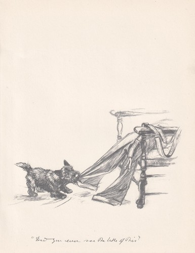 1936 scottish terrier dog - 1936,