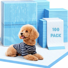 100 large puppy training - 100,