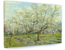 Vincent van Gogh The White