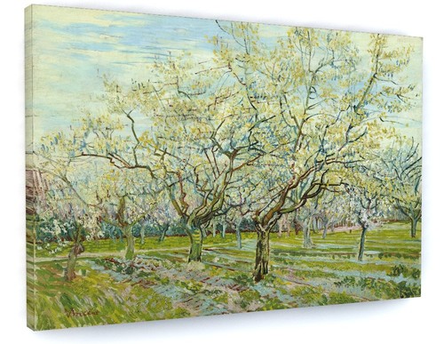 Vincent van gogh the - vincent,