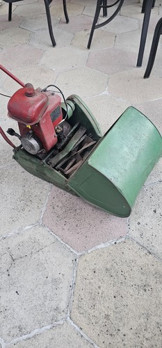Suffolk punch lawn - lawn, mower