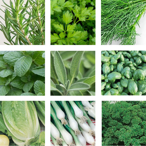 16x organic herb vegetable - 16x,