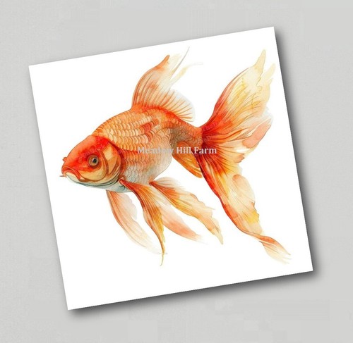 Fridge magnet goldfish classic - magnet,