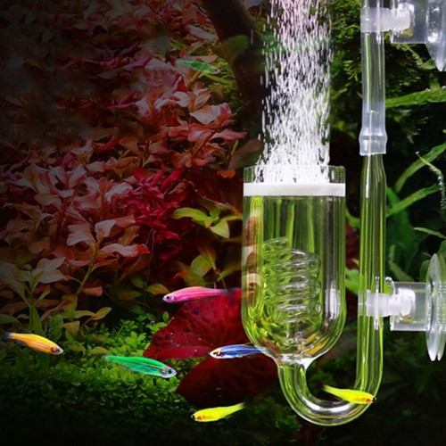 1xaquarium co2 diffuser fish - 1xaquarium,