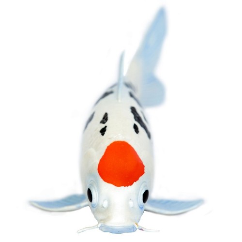 Safari ltd 101025 tancho koi - 101025,