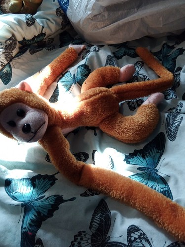 Hanging monkey with sound - hanging, in