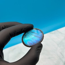 Vintage Art Deco Morpho