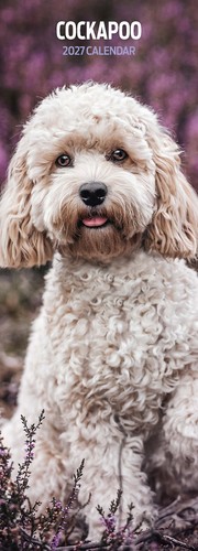 Cockapoo 2027 slim calendar - slim,