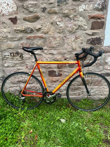 Trek 1000 large - , road