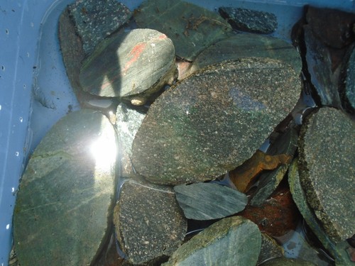Lapidary half pound - lapidary,