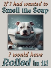 Staffy White Staffordshire Bull Terrier Dog Funny Flexible Fridge Magnet Gift