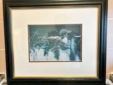 Decorative Duck Art Professionally Framed From Ontario Canada Robert Bateman