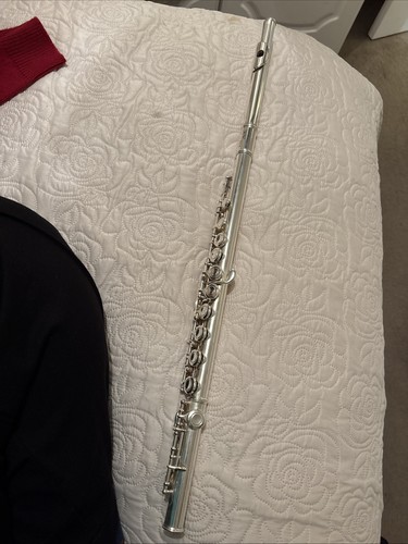 Usa flute including - including, backpack