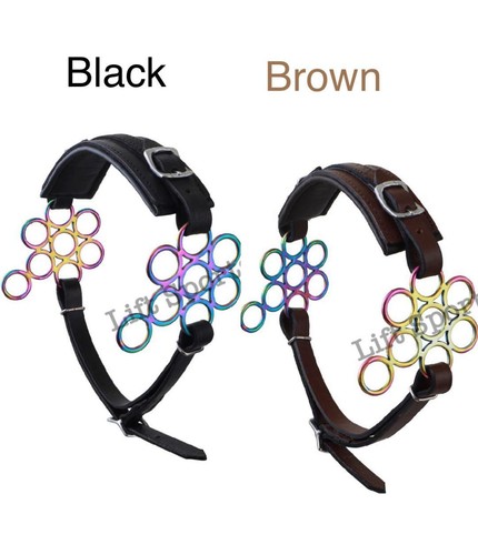 Rainbow multi color flower - multi,