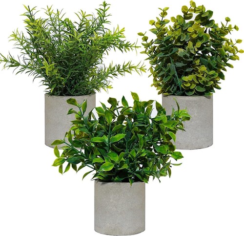 Set artificial plants in - set,