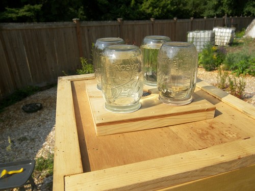 Top beehive feeder easy - beehive, to