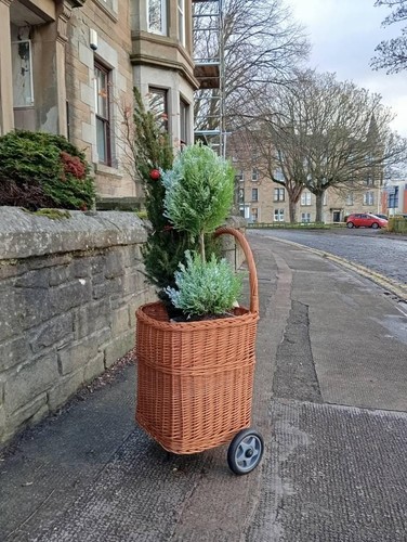 Wicker shopping trolley log - wicker,