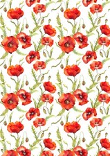 Red Poppy Flowers Wallpaper A4
