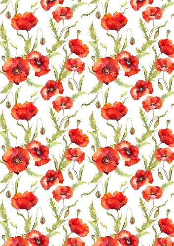 Red poppy flowers wallpaper - poppy,