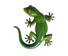 Vivid Arts - Glossy Gecko