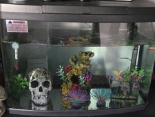 Love Fish Panorama Tank 64L