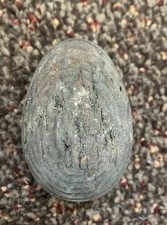 Antique Wooden Sewing / Darning Egg