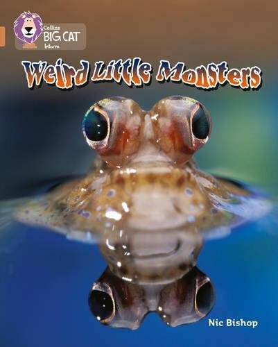 Weird little monsters - little, band