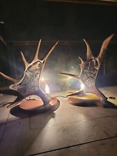 Taxidermy moose Elk sculpture Stag Deer carved Antlers Horns Skull carving art 