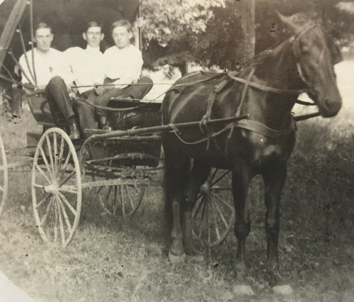 Antique vtg rppc horse drawn - antique,